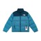 The North Face 1996 Retro Nuptse 700 NF0A3C8D-3X5