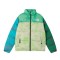 The North Face X Kaws 1996 Nuptse 700 Jacket 'Green' NF0A7WLU-75B