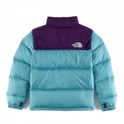 The North Face 1996 Retro Nuptse 700 NF0A3C8D-25D