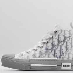 Dior B23 High Top White Cool Grey