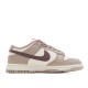 Nike Dunk Low Sail Plum Eclipse DD1503-125