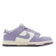 Nike Dunk Low Next Nature Daybreak FZ4349-100