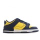 Nike Dunk Low Disrupt 2 Michigan DV4024-400