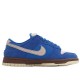 Nike Dunk Low Pro SB 'Gold Rail' 304292-472