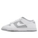 Nike Dunk Low 'White Neutral Grey' DJ6188-003