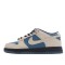 Nike Dunk Low Pro SB 'Thunderstorm' BQ6817-200