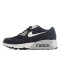 Nike Air Max 90 Essential 'Black Wolf Grey' 616730-012