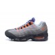 Nike Air Max 95 'Greedy' 810374-078