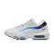 Nike Air Max 95 '3 Lions' FB3349-100