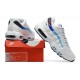 Nike Air Max 95 '3 Lions' FB3349-100