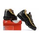 Nike Air Max 95 'Black Elemental Gold' DM0011-004