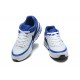 Nike Air Max BW OG 'Reverse Persian Violet' DN4113-101