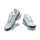 Nike Air Max Plus White Green CV2392 101