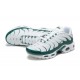 Nike Air Max Plus White Green CV2392 101