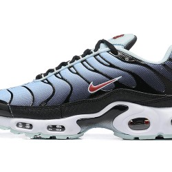 Nike Air Max Plus 'Black Blue Tint' DM0032-008