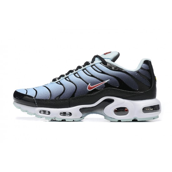 Nike Air Max Plus 'Black Blue Tint' DM0032-008