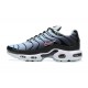 Nike Air Max Plus 'Black Blue Tint' DM0032-008