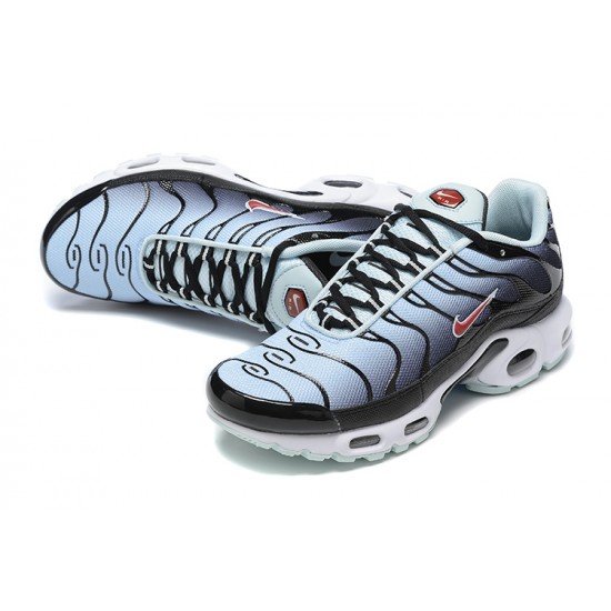 Nike Air Max Plus 'Black Blue Tint' DM0032-008