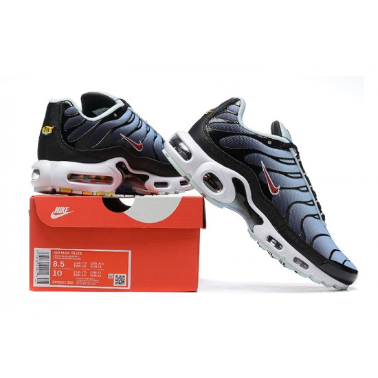 Nike Air Max Plus 'Black Blue Tint' DM0032-008