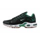 Nike Air Max Plus 'Black Malachite Gum' DM0032-009