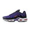 Nike Air Max Plus OG 'Voltage Purple' 2024 DX0755-500