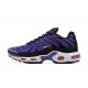 Nike Air Max Plus OG 'Voltage Purple' 2024 DX0755-500