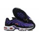 Nike Air Max Plus OG 'Voltage Purple' 2024 DX0755-500