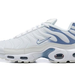 Nike Air Max Plus 'Ashen Slate' DZ3671-104