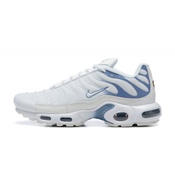 Nike Air Max Plus 'Ashen Slate' DZ3671-104