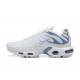 Nike Air Max Plus 'Ashen Slate' DZ3671-104