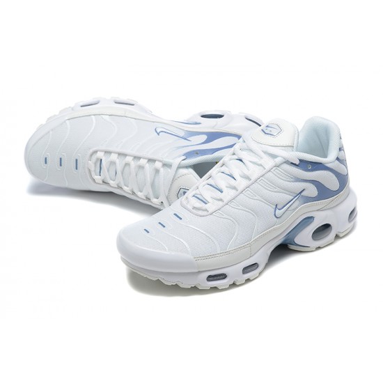 Nike Air Max Plus 'Ashen Slate' DZ3671-104