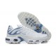 Nike Air Max Plus 'Ashen Slate' DZ3671-104