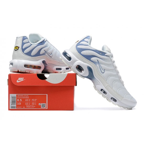 Nike Air Max Plus 'Ashen Slate' DZ3671-104