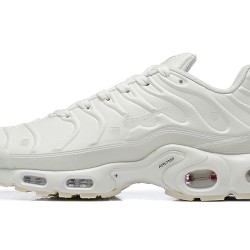 Nike Air Max Plus x A-Cold-Wall* 'Platinum Tint' FD7855-002