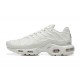 Nike Air Max Plus x A-Cold-Wall* 'Platinum Tint' FD7855-002