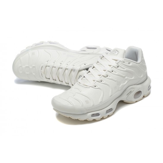 Nike Air Max Plus x A-Cold-Wall* 'Platinum Tint' FD7855-002