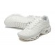 Nike Air Max Plus x A-Cold-Wall* 'Platinum Tint' FD7855-002