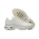 Nike Air Max Plus x A-Cold-Wall* 'Platinum Tint' FD7855-002