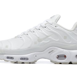 Nike Air Max Plus White FD7855-100