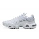 Nike Air Max Plus 'White Metallic Silver' FV0952-100