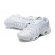 Nike Air Max Plus 'White Metallic Silver' FV0952-100