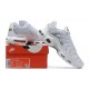 Nike Air Max Plus 'White Metallic Silver' FV0952-100