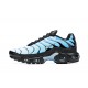 Nike Air Max Plus 'Blue Gradient' FQ0204-010