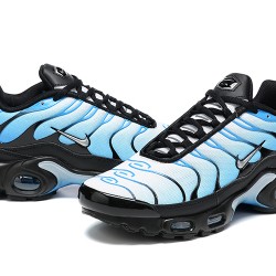 Nike Air Max Plus 'Blue Gradient' FQ0204-010