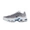 Nike Air Max Plus Cool Grey FQ2892 100