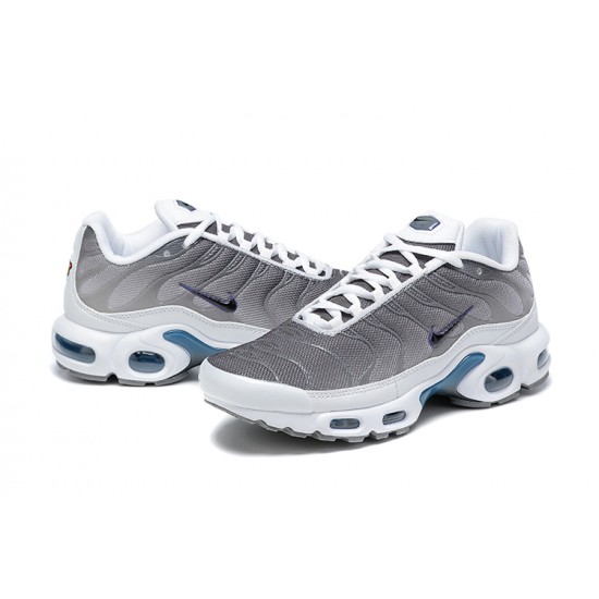 Nike Air Max Plus Cool Grey FQ2892 100