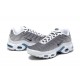 Nike Air Max Plus Cool Grey FQ2892 100