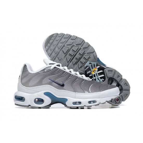 Nike Air Max Plus Cool Grey FQ2892 100