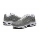 Nike Air Max Plus SE 'Flat Pewter' DV7665-002