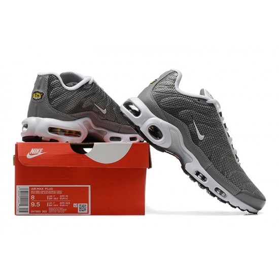 Nike Air Max Plus SE 'Flat Pewter' DV7665-002